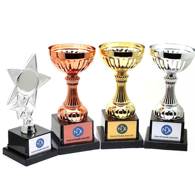 Custom Basketball Metal Trophy Cup Zinc Alloy Copper Material