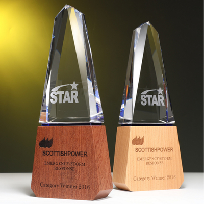 Individualized Custom Resin Trophies Crystal And Solid Wood Combination Trophy