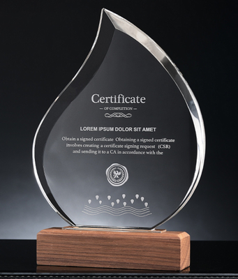 Wooden Base Custom Resin Trophies Personalized Crystal Trophy