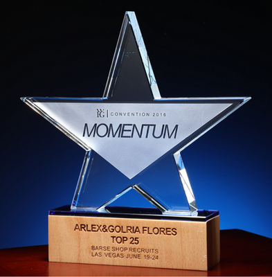 Wooden Base Custom Resin Trophies Personalized Crystal Trophy